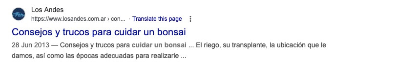 Ejemplo de una búsqueda en las SERP del ranking de Google