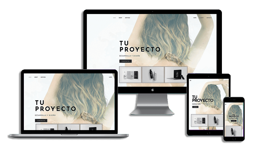 Diseño de página web para empresas